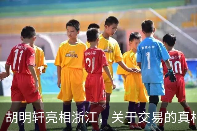 胡明轩亮相浙江，关于交易的真相揭秘