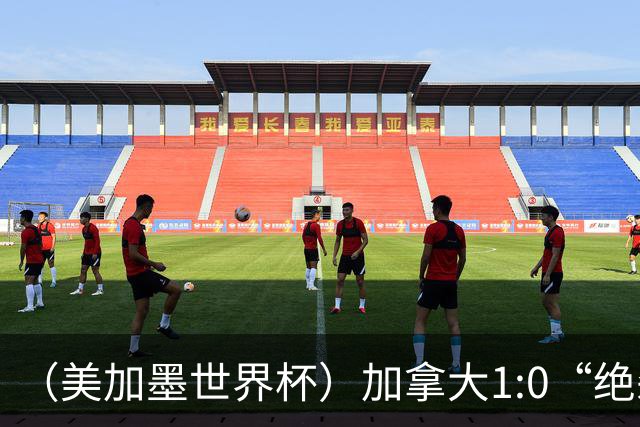 （美加墨世界杯）加拿大1:0“绝杀”南非 队史首进16强